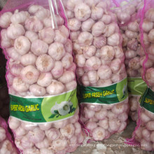 Cheapest Price Natural Normal White Garlic in Pakistan